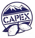 Capex