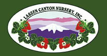 lassen canyon